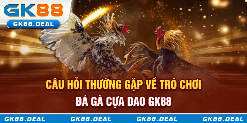 Câu hỏi thường gặp về trò chơi đá gà cựa dao GK88