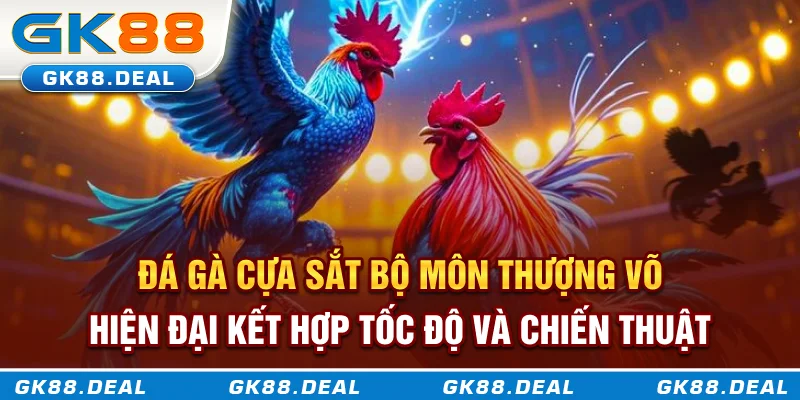 Đá gà cựa sắt bộ môn thượng võ hiện đại kết hợp tốc độ và chiến thuật