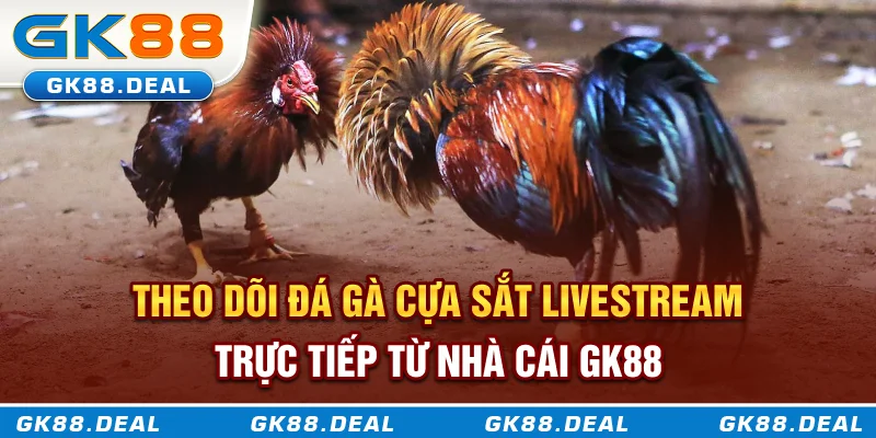 Theo dõi đá gà cựa sắt livestream trực tiếp từ nhà cái GK88